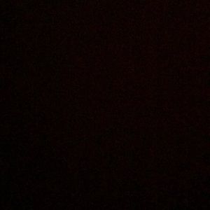 Meet your Posher, Brady